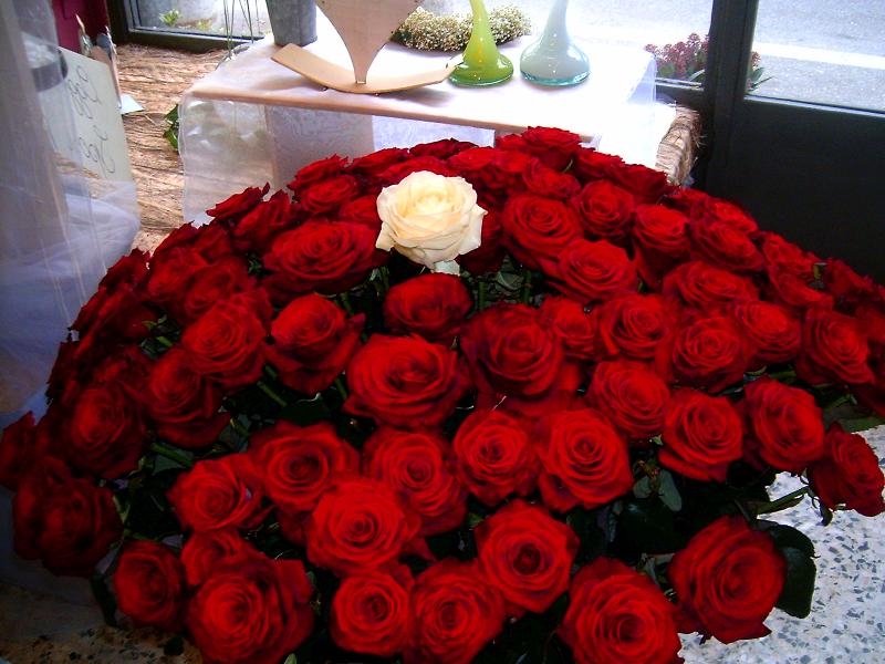 Rose lunghe cm 70/80