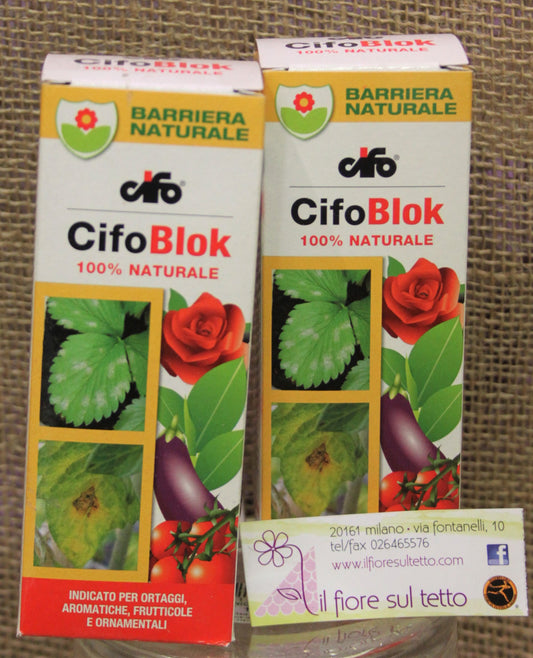 CIFO BLOK